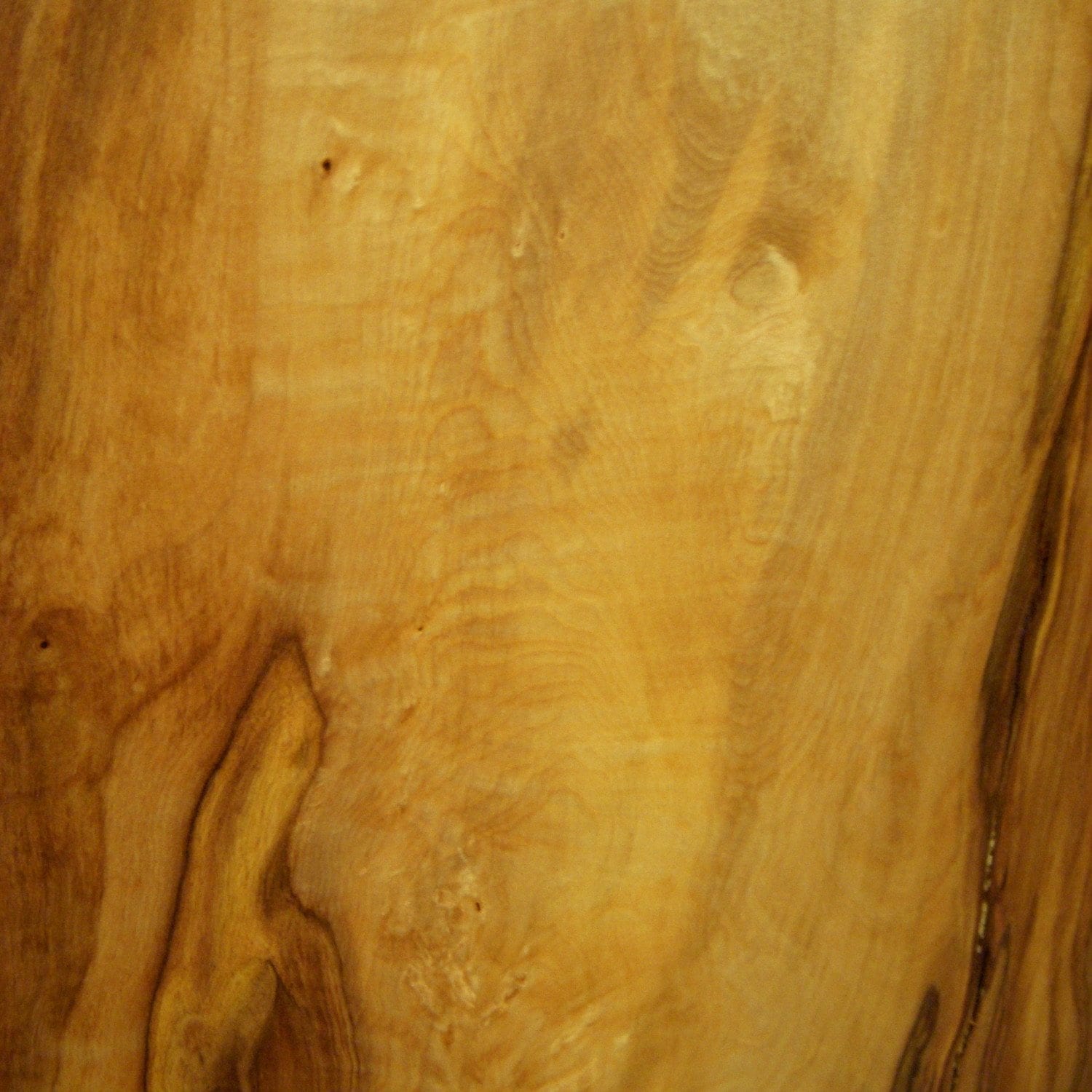 Horse Chestnut The Wood Place