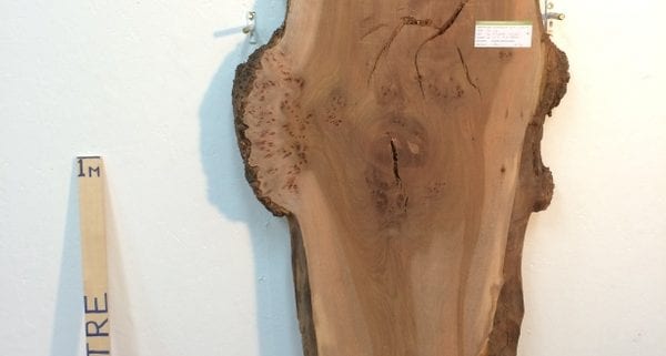 BURRY ELM 6.5cm thick - tree number 1113A Natural Waney Live Edge Slab Wood Board Kiln Dried Planed Seasoned Hardwood Wildwood Local Sustainable Timber