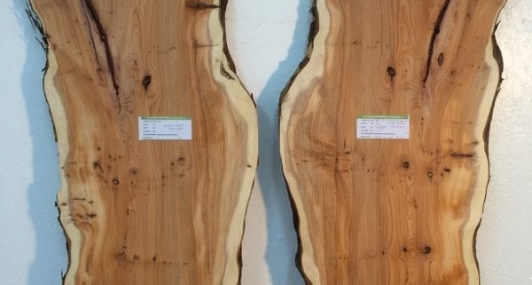 wildwood yew bookmatched set