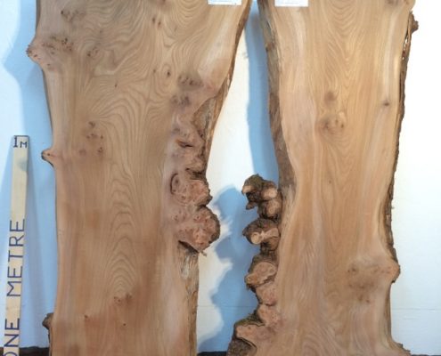 BURRY ELM 3cm thick - tree number 1480A Natural Waney Live Edge Slab Wood Board Kiln Dried Planed Seasoned Hardwood Wildwood