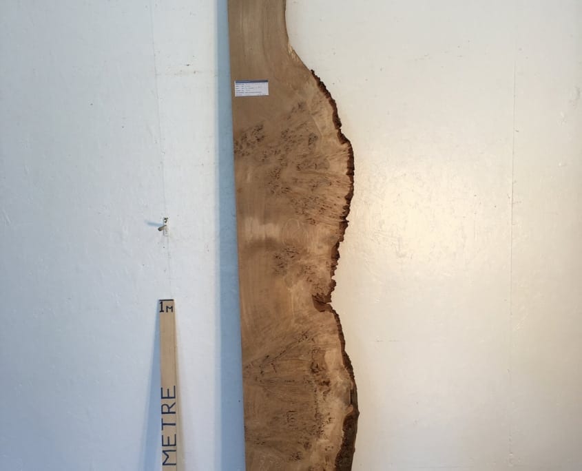 BURR OAK 4.5cm thick - tree number 1008A- Single Waney Live Edge Slab Wood Board Kiln Dried Planed Seasoned Hardwood Wildwood