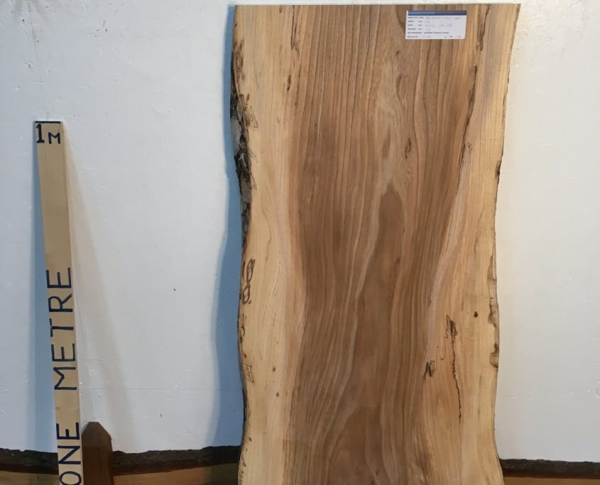 SPALTED ELM 1368-1 Natural Waney Live Edge Slab Wood Board Thickness 3.2cm Kiln Dried Planed Seasoned Hardwood Wildwood Coffee Tabletop
