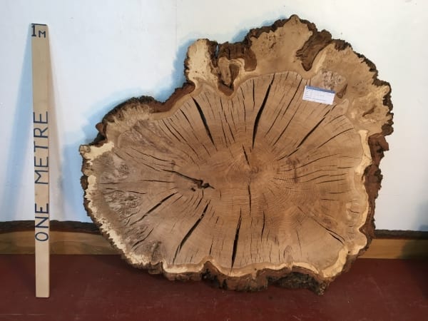 BURRY OAK TREE SLICE 1323A-5 Natural Waney Live Edge Slab Board Thickness 7cm Kiln Dried Planed Seasoned Hardwood Wildwood Coffee Table Top
