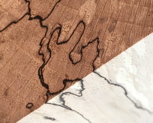 spalted beech
