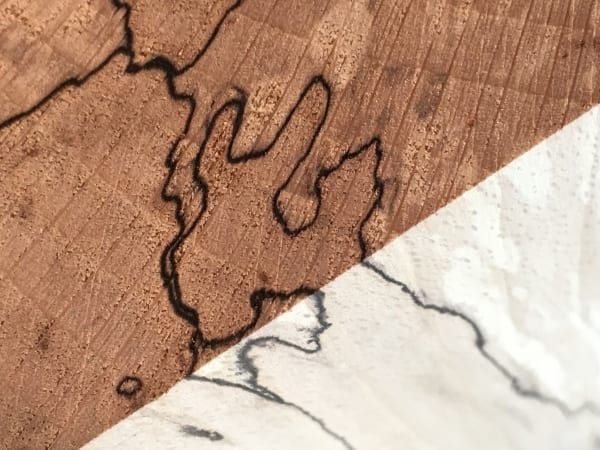 spalted beech