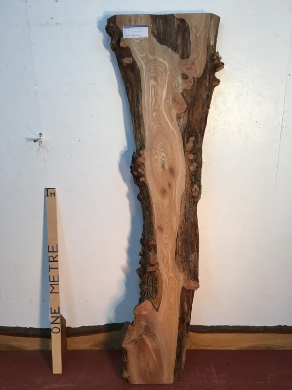 ELM Natural Waney Live Edge Slab Wood Board 1477B-1