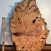YEW TREE SLICE Natural Waney Live Edge Slab Wood Board 0916-8