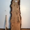 BURRY OAK Natural Waney Live Edge Slab Wood Board 1245A-9