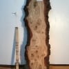 BURRY OAK Natural Waney Live Edge Slab Wood Board 1245B-8