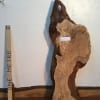 BURRY OAK Natural Waney Live Edge Slab Wood Board 1245D-02