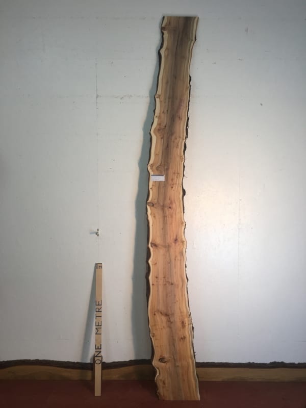 PIPPY YEW Natural Waney Live Edge Slab Wood Board 1557B-4