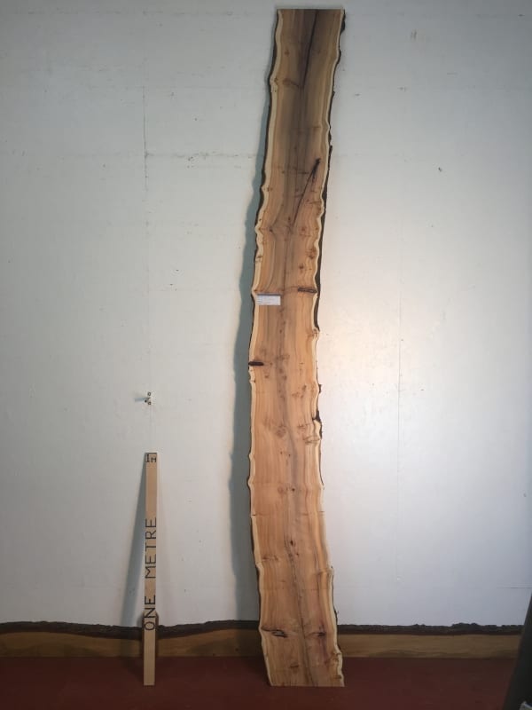PIPPY YEW Natural Waney Live Edge Slab Wood Board 1557B-5