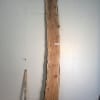 PIPPY YEW Natural Waney Live Edge Slab Wood Board 1557B-6
