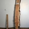 PIPPY YEW Natural Waney Live Edge Slab Wood Board 1557B-2A