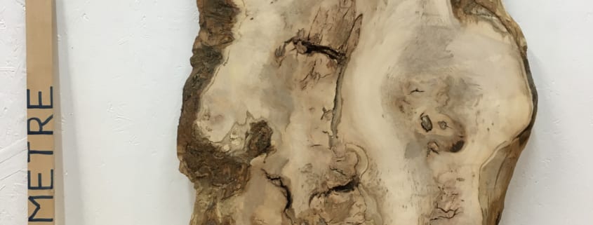 SYCAMORE Natural Waney Live Edge Slab Wood Board 1542A-1B
