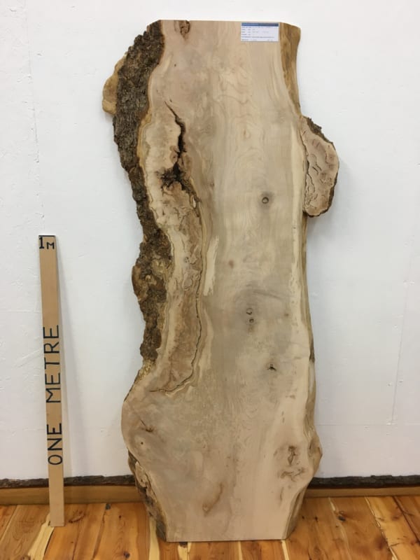 SYCAMORE Natural Waney Live Edge Slab Wood Board 1542B-2