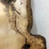 oiled sycamore 1542 sample