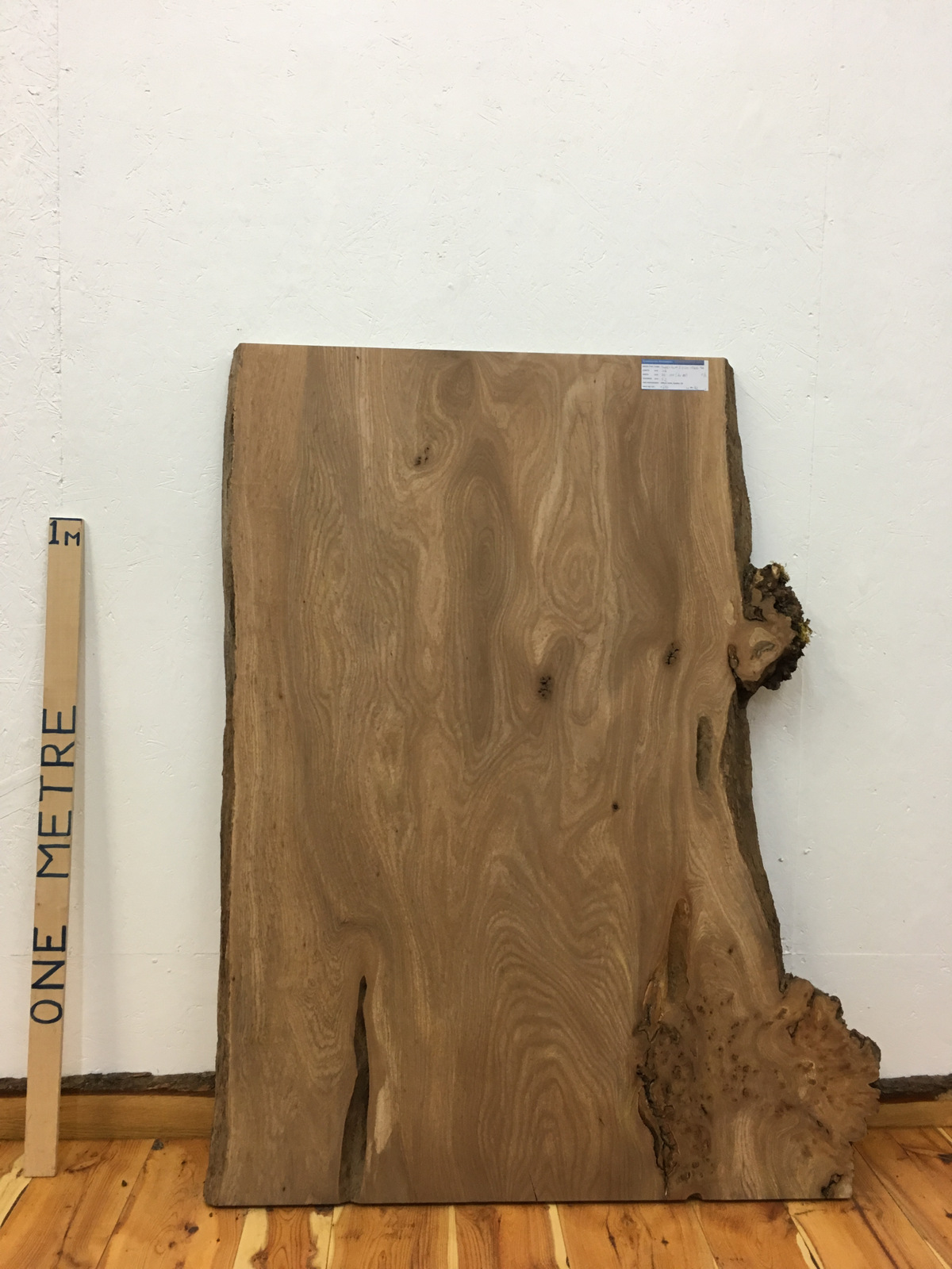 BURRY ELM Natural Waney Live Edge Slab Wood Board 1536A-3A