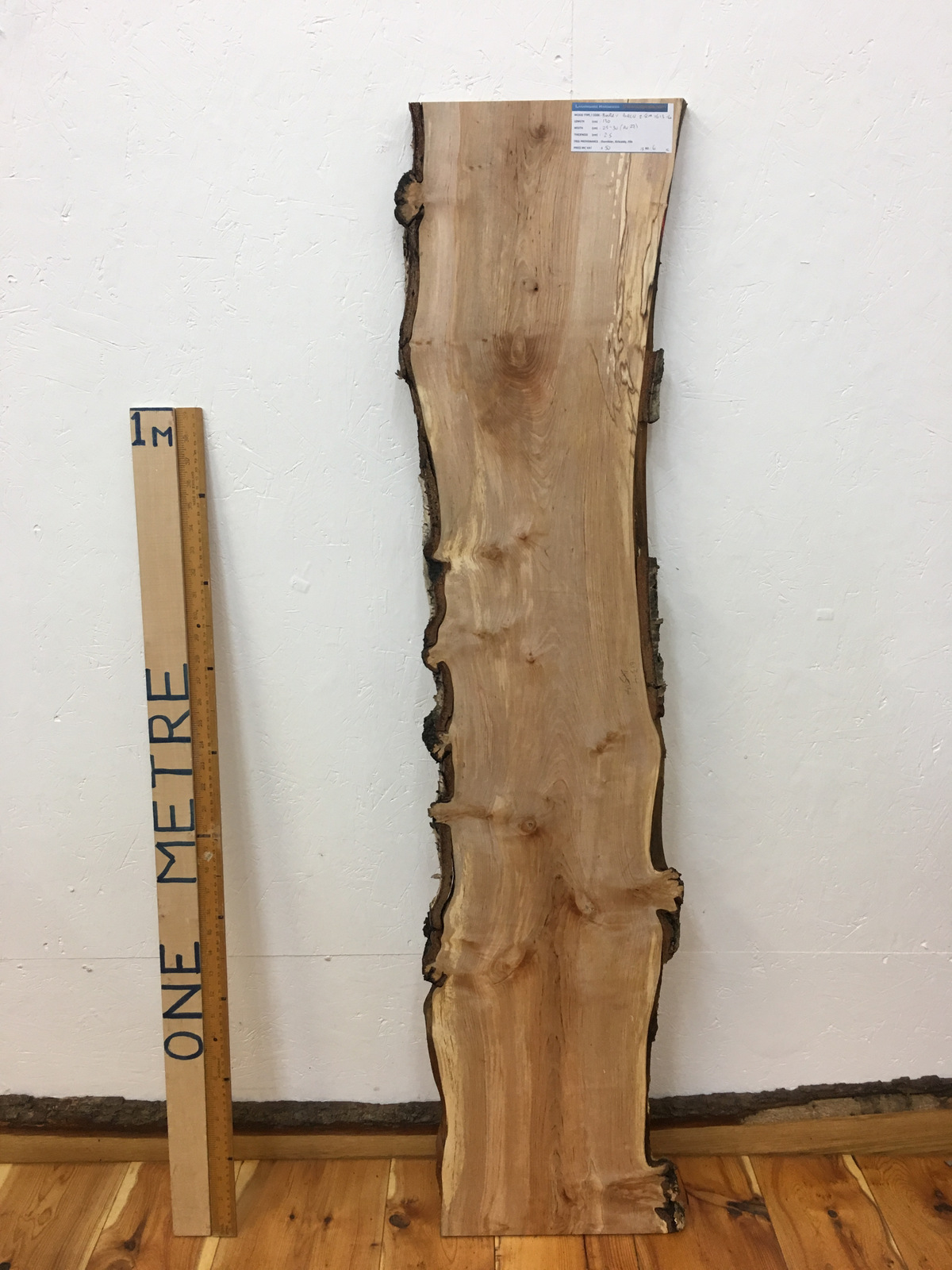 BURRY BIRCH Natural Waney Live Edge Slab Wood Board 1613-4