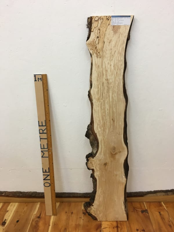 BURRY BIRCH Natural Waney Live Edge Slab Wood Board 1614-2B
