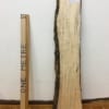 SPALTED BIRCH Natural Waney Live Edge Slab Wood Board 1618-2A