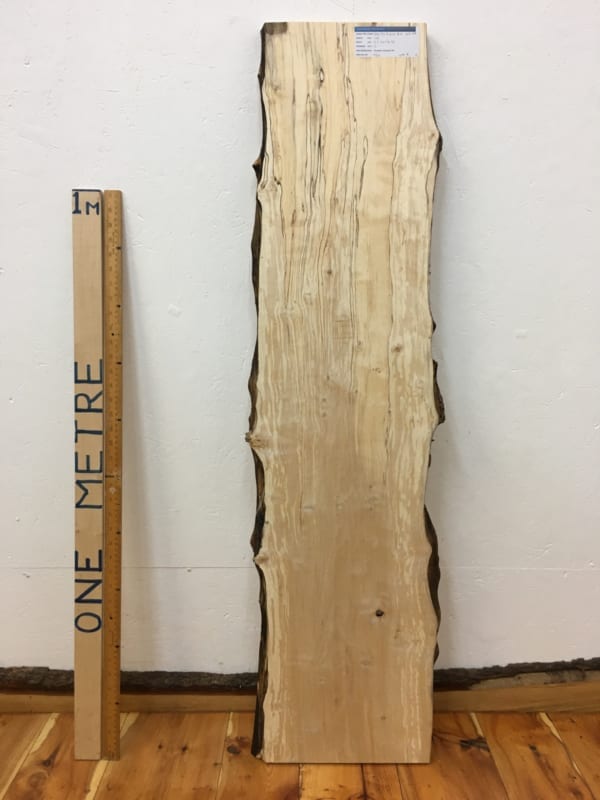 SPALTED BIRCH Natural Waney Live Edge Slab Wood Board 1618-4B