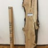 BURRY SPALTED BIRCH Natural Waney Edge Slab Wood Board 1609-5A