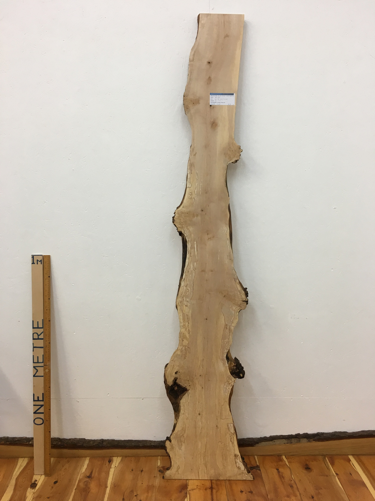BURRY BIRCH Natural Waney Edge Slab Wood Timber Board 1627-5