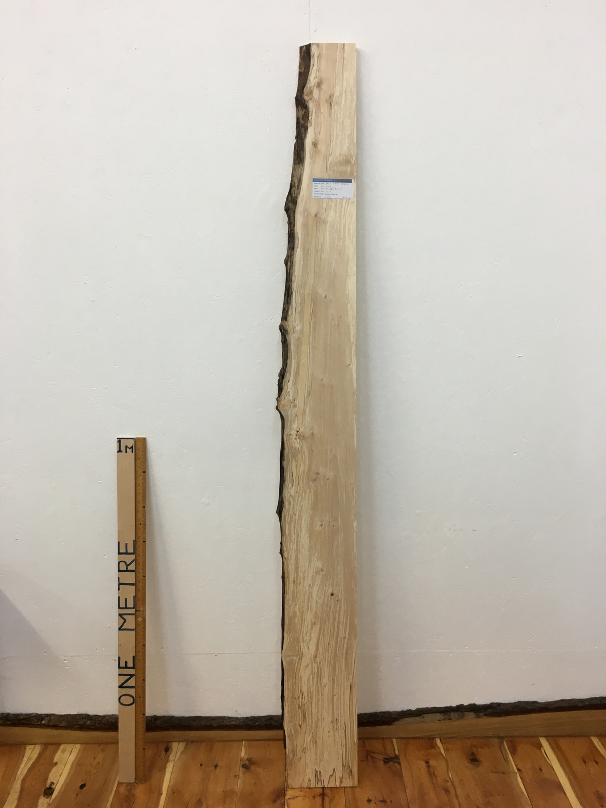 BIRCH Single Waney Natural Edge Timber Board 1636-6