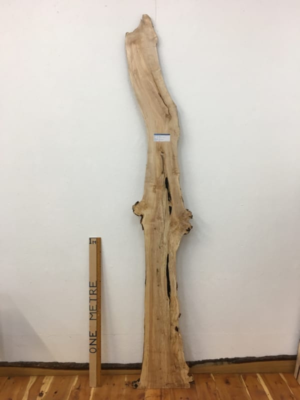 BIRCH Natural Waney Edge Slab Wood Timber Board 1622-6