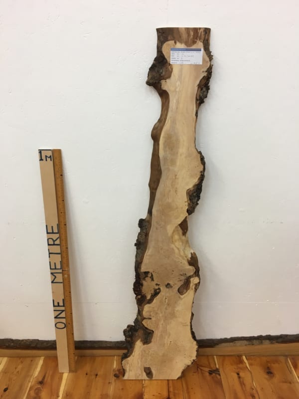 BURRY BIRCH Natural Waney Edge Slab Wood Timber Board 1627-8