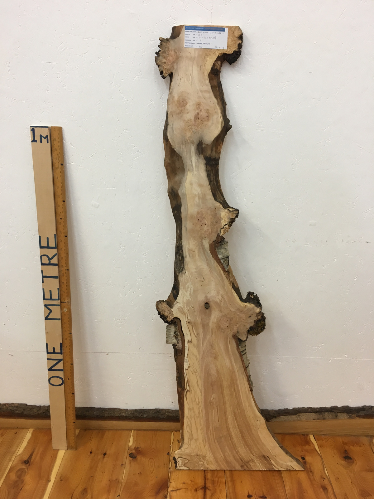 BURRY BIRCH Natural Waney Edge Slab Wood Timber Board 1638-1