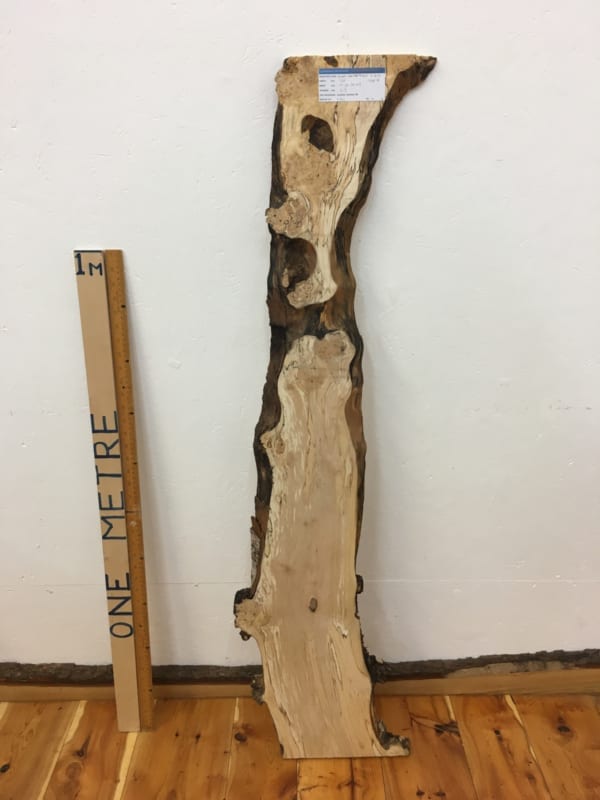 BURRY BIRCH Natural Waney Edge Slab Wood Timber Board 1638-4