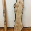 SPALTED BURRY BIRCH Natural Waney Edge Slab Wood