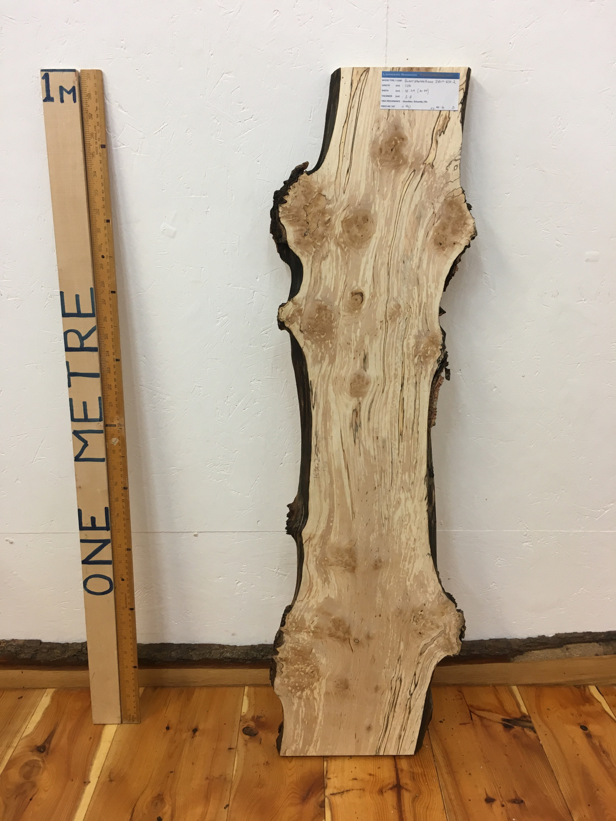 SPALTED BURRY BIRCH Natural Waney Edge Slab Wood