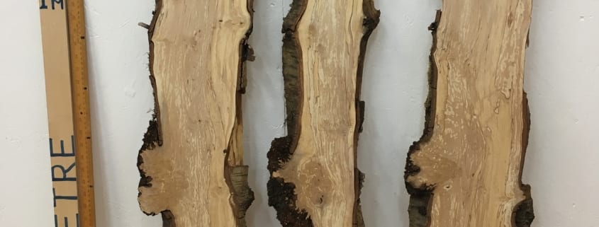 BURRY BIRCH BUNDLE Natural Waney Edge Slab Wood Timber Board 1641-2/3/4