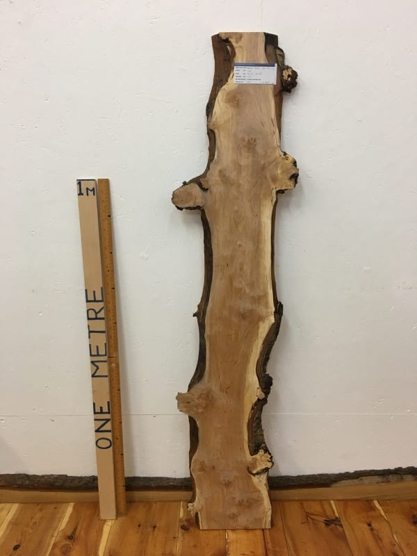 BURRY BIRCH Natural Waney Edge Slab Wood Timber Board 1613-2