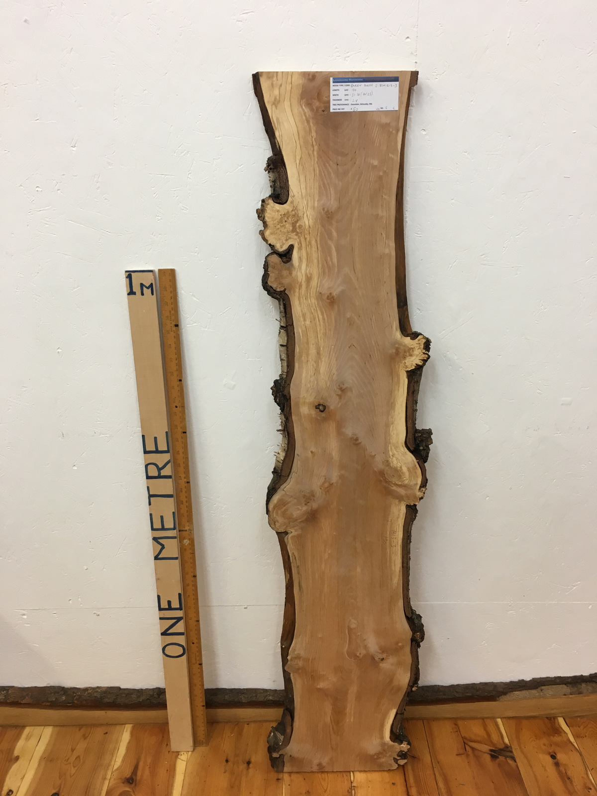 BURRY BIRCH Natural Waney Edge Slab Wood Timber Board 1613-3