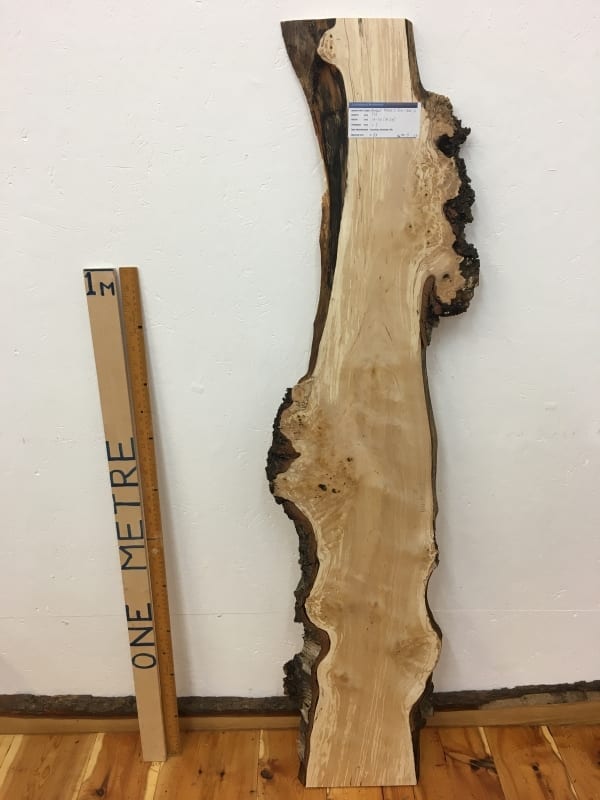 BURRY BIRCH Natural Waney Edge Slab Wood Timber Board 1614-6
