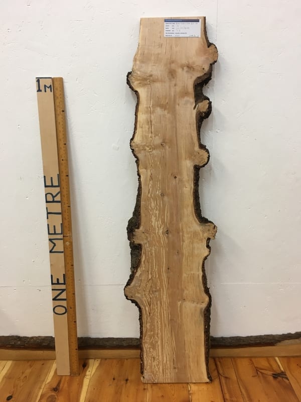 BURRY BIRCH Natural Waney Edge Slab Wood Timber Board 1615-5A
