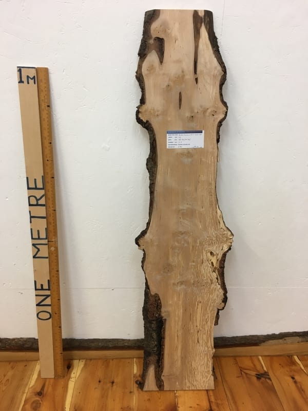 BURRY BIRCH Natural Waney Edge Slab Wood Timber Board 1615-6A