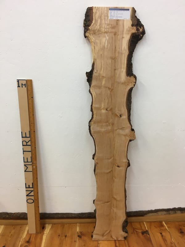 BURRY BIRCH Natural Waney Edge Slab Wood Timber Board 1615-4