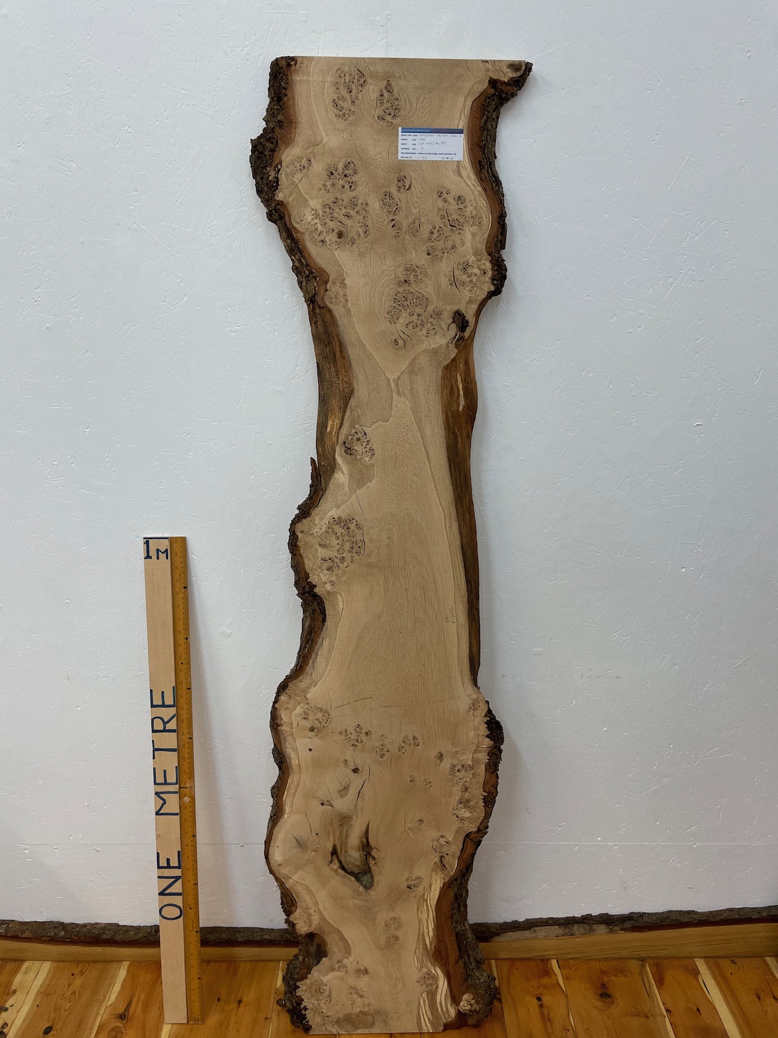 PIPPY / BURRY OAK Natural Waney Edge Slab Wood Timber Board 1561B-7 Thickness 3cm Kiln Dried Planed & Thicknessed Seasoned Hardwood Wildwood Wallart