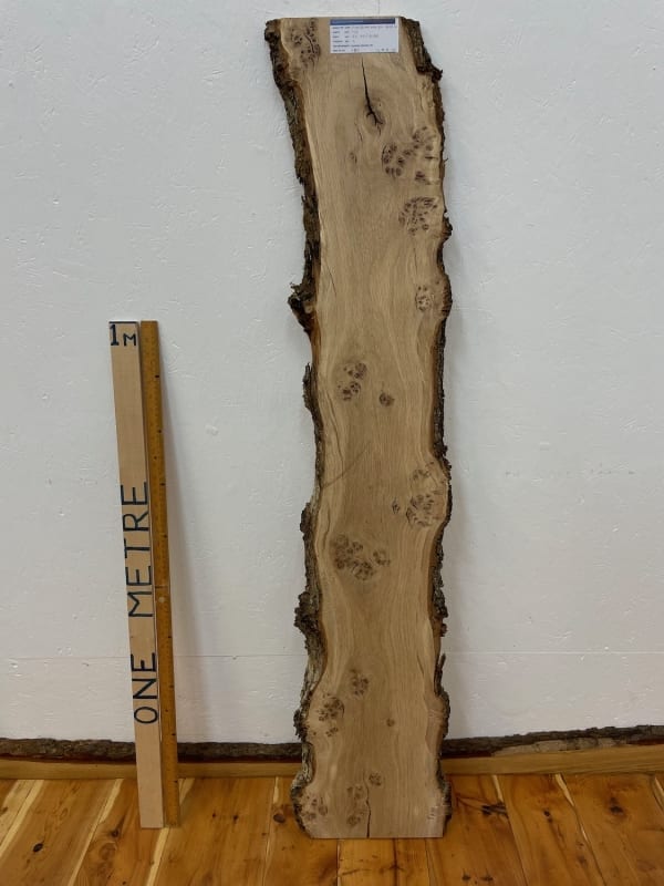BURRY OAK Natural Waney Edge Slab Wood Timber Board 1563B-2 Thickness 3cm Kiln Dried Planed & Thicknessed Seasoned Hardwood Wildwood
