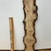 BURRY OAK Natural Waney Edge Slab Wood Timber Board 1563B-6 Thickness 3cm Kiln Dried Planed & Thicknessed Seasoned Hardwood Wildwood