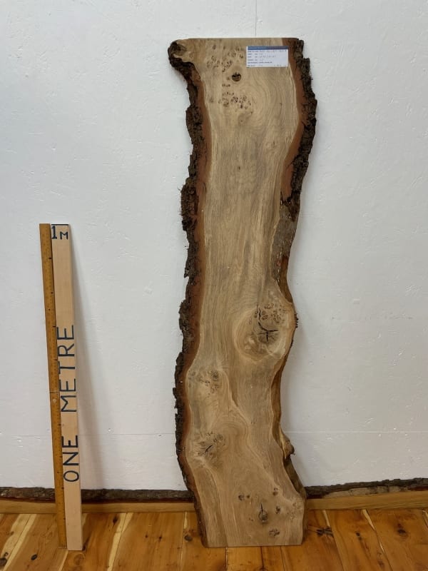 BURRY OAK Natural Waney Edge Slab Wood Timber Board 1560B-1B Thickness 2.8cm Kiln Dried Planed & Thicknessed Seasoned Hardwood Wildwood