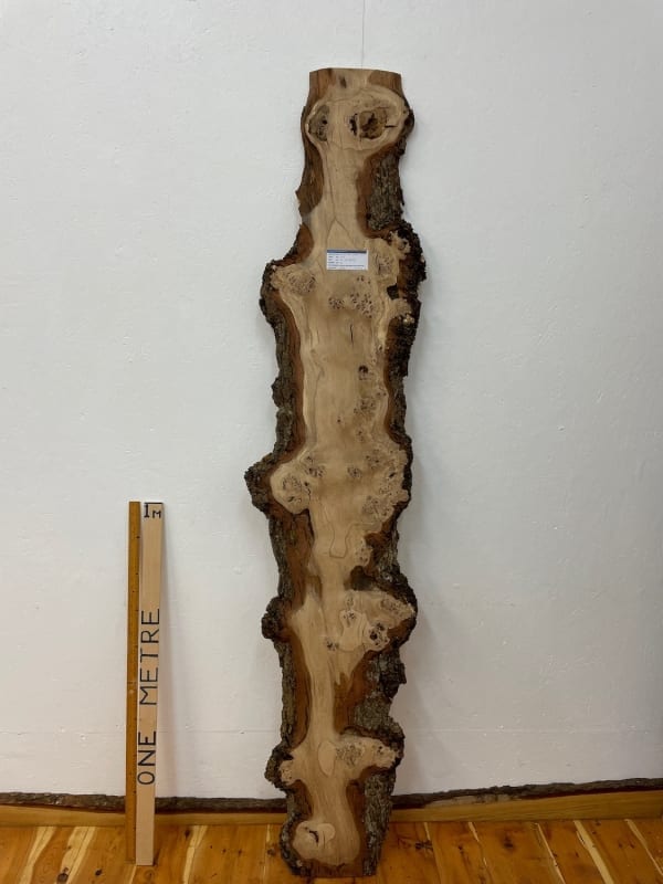 BURRY OAK Natural Waney Edge Slab Wood Timber Board 1561A-1 Thickness 3cm Kiln Dried Planed & Thicknessed Seasoned Hardwood Wildwood Wallart