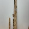 BURRY OAK Single Waney Natural Edge Timber Board 1560B-10 Thickness 2.2cm Kiln Dried Planed & Thicknessed Seasoned Hardwood