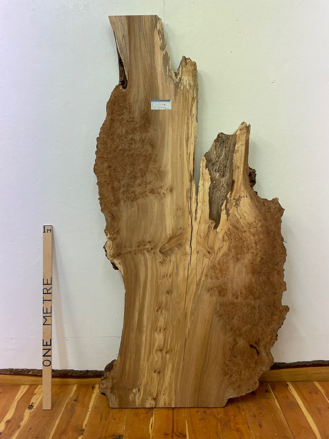 BURRY ELM Natural Waney Edge Slab Wood Timber Board 1392B-3 Thickness 6.5cm Kiln Dried Milled Finish Seasoned Hardwood Wildwood Live Edge Tabletop CoffeeTableTop