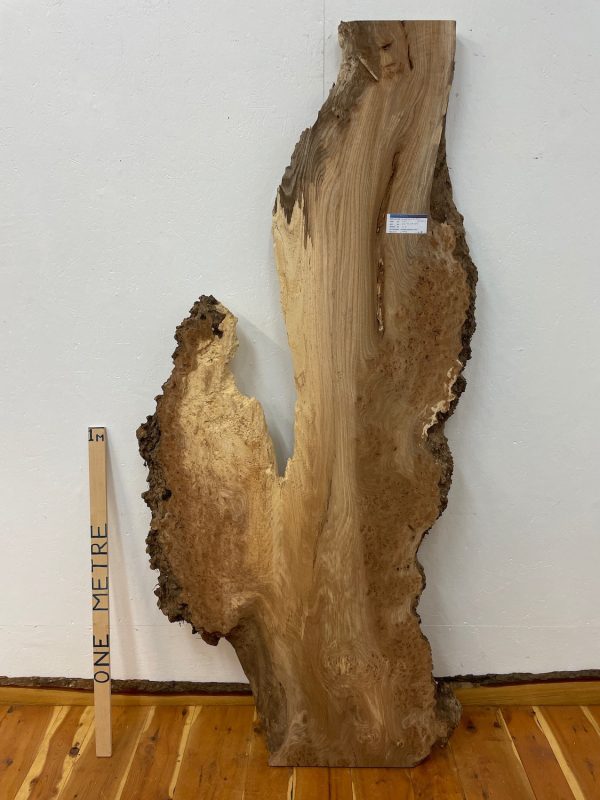 BURRY ELM Natural Waney Edge Slab Wood Timber Board 1392B-2 Thickness 6.5cm Kiln Dried Milled Finish Seasoned Hardwood Wildwood Live Edge Tabletop CoffeeTableTop